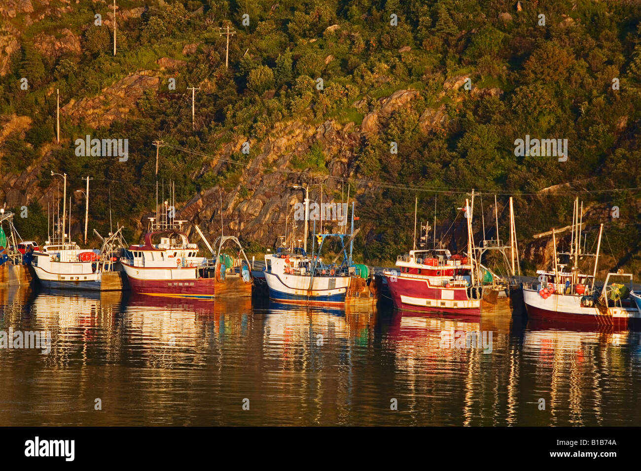 Fischerboote im Hafen von St. John's, Neufundland, Kanada Stockfoto