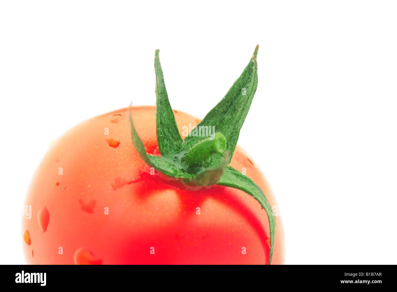 Tomaten Stockfoto