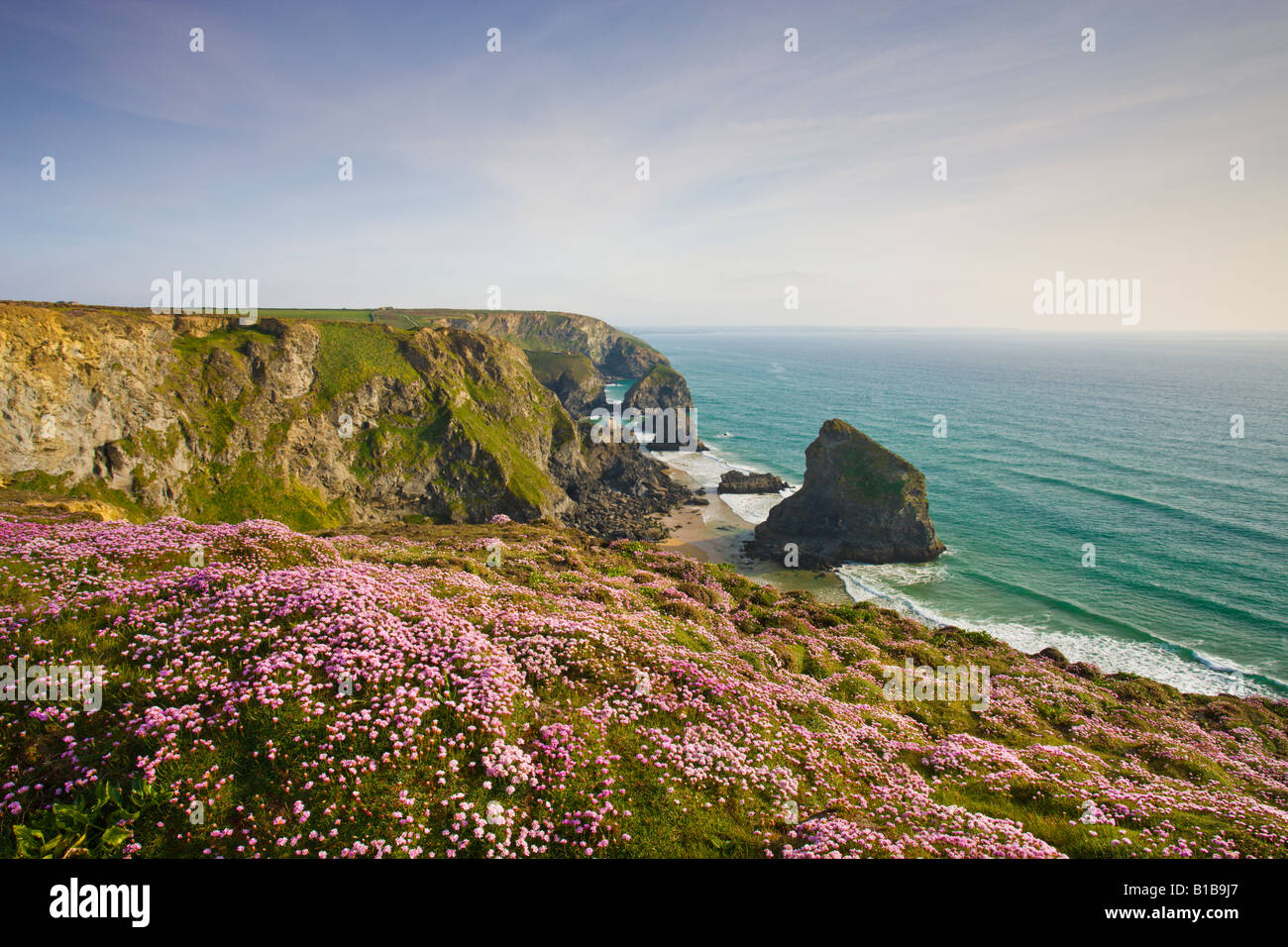 Wildblumenwiese auf die rührende mit Blick auf Bedruthan Schritte North Cornwall England Stockfoto