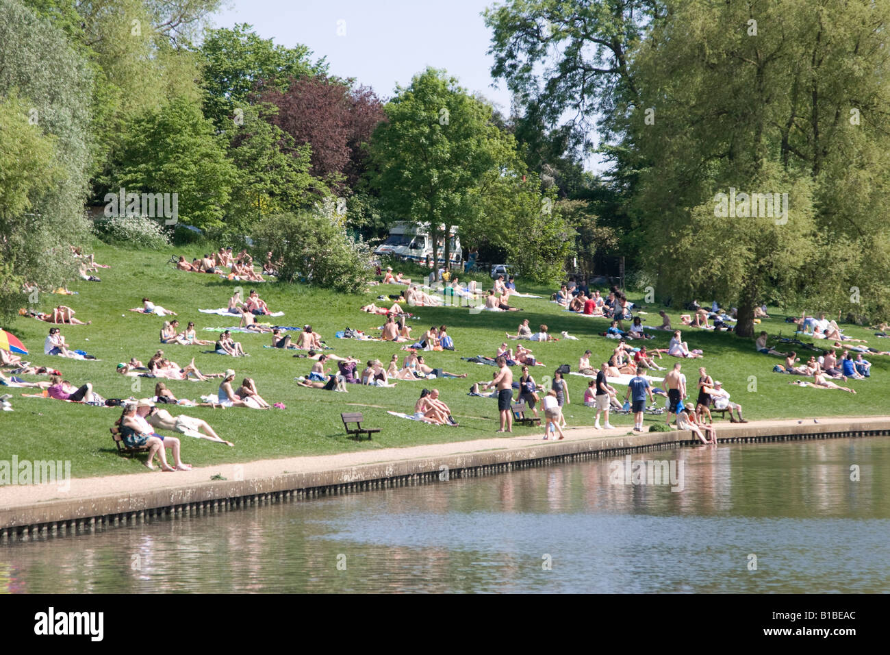 Sonnenanbeter - Hampstead Heath - Nord-London Stockfoto