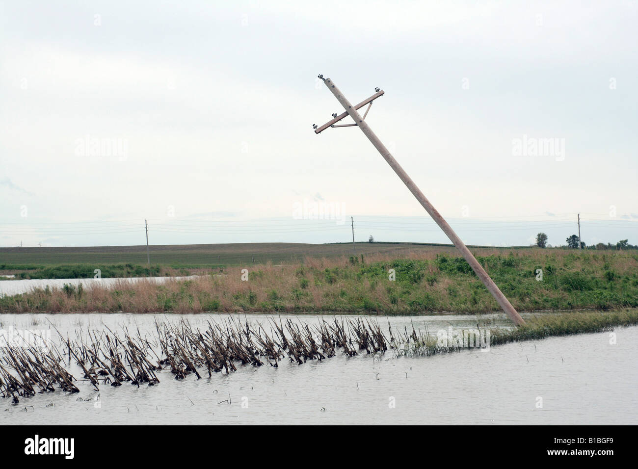 Überflutet, Pflanzen und beschädigten elektrischen Pole aus Tornado in Midwest USA Stockfoto