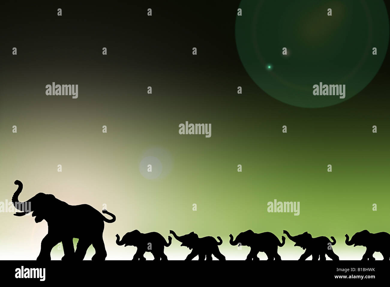 Elefanten in einer Reihe Stockfoto