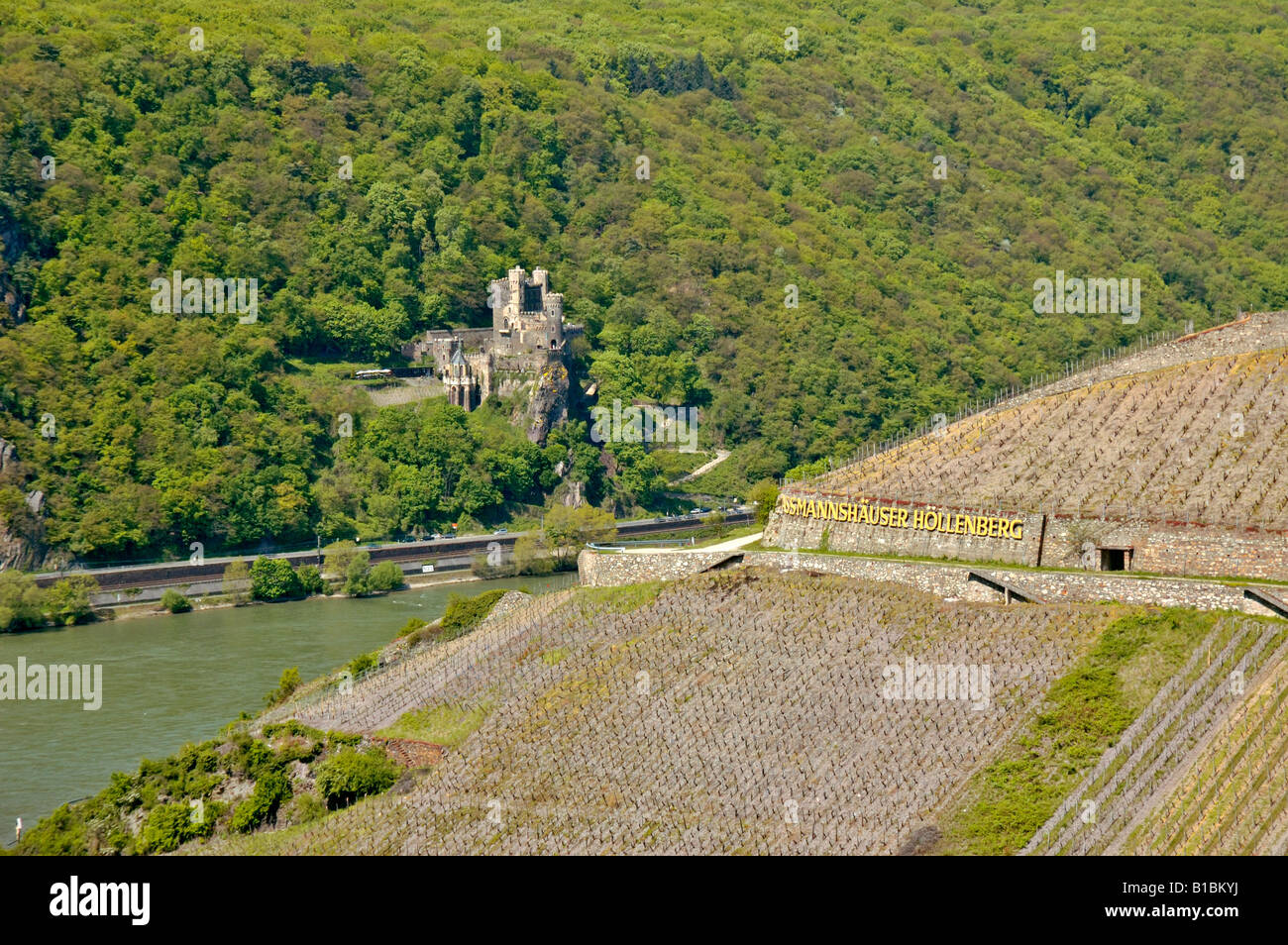 Assmannshausen Höllenberg Weinberg und Burg Rheinstein im mittleren Rheintal, Deutschland. Stockfoto