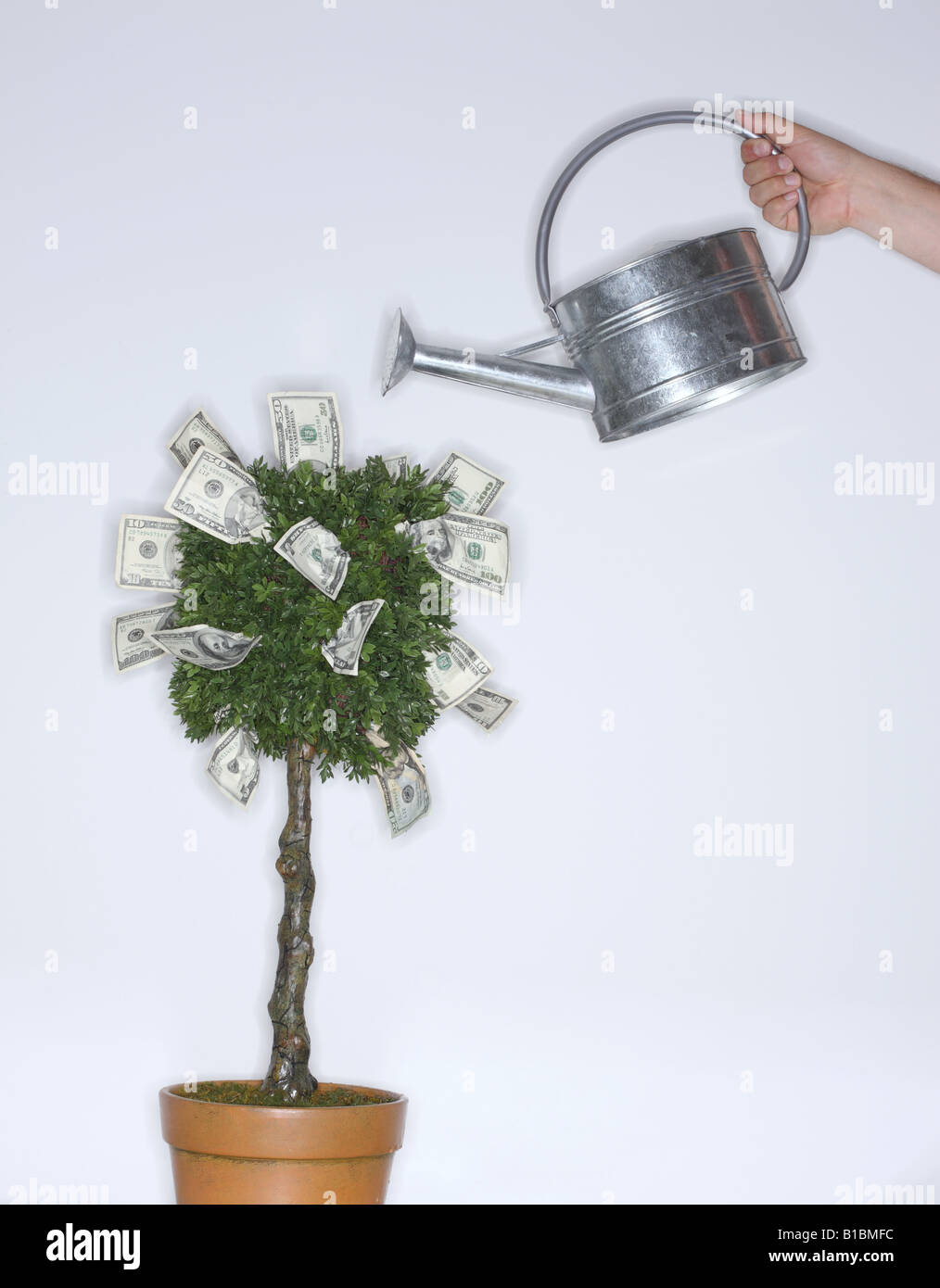 Geld wächst auf einem Baum mit Gießkanne Stockfoto