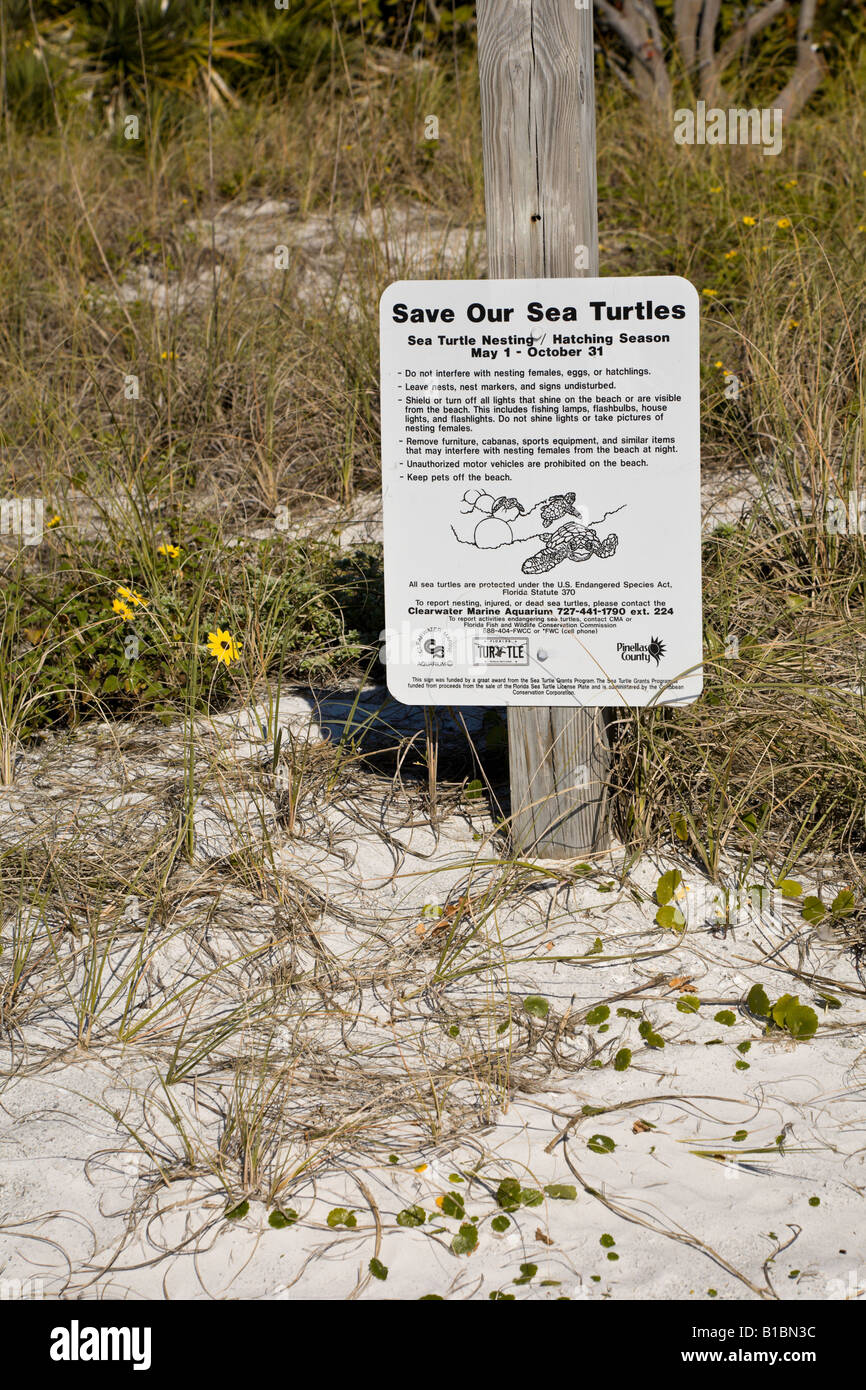 Sparen Sie unser Schild Meeresschildkröten am Strand von Clearwater Beach, Florida, USA Stockfoto
