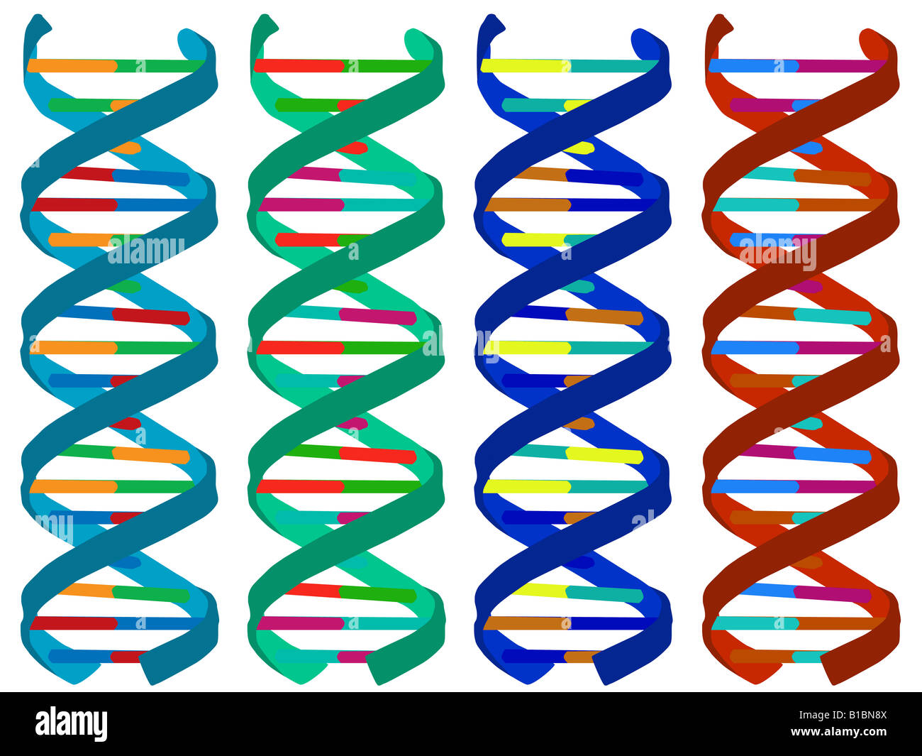 DNA-Abbildungen in verschiedenen Farben Stockfoto