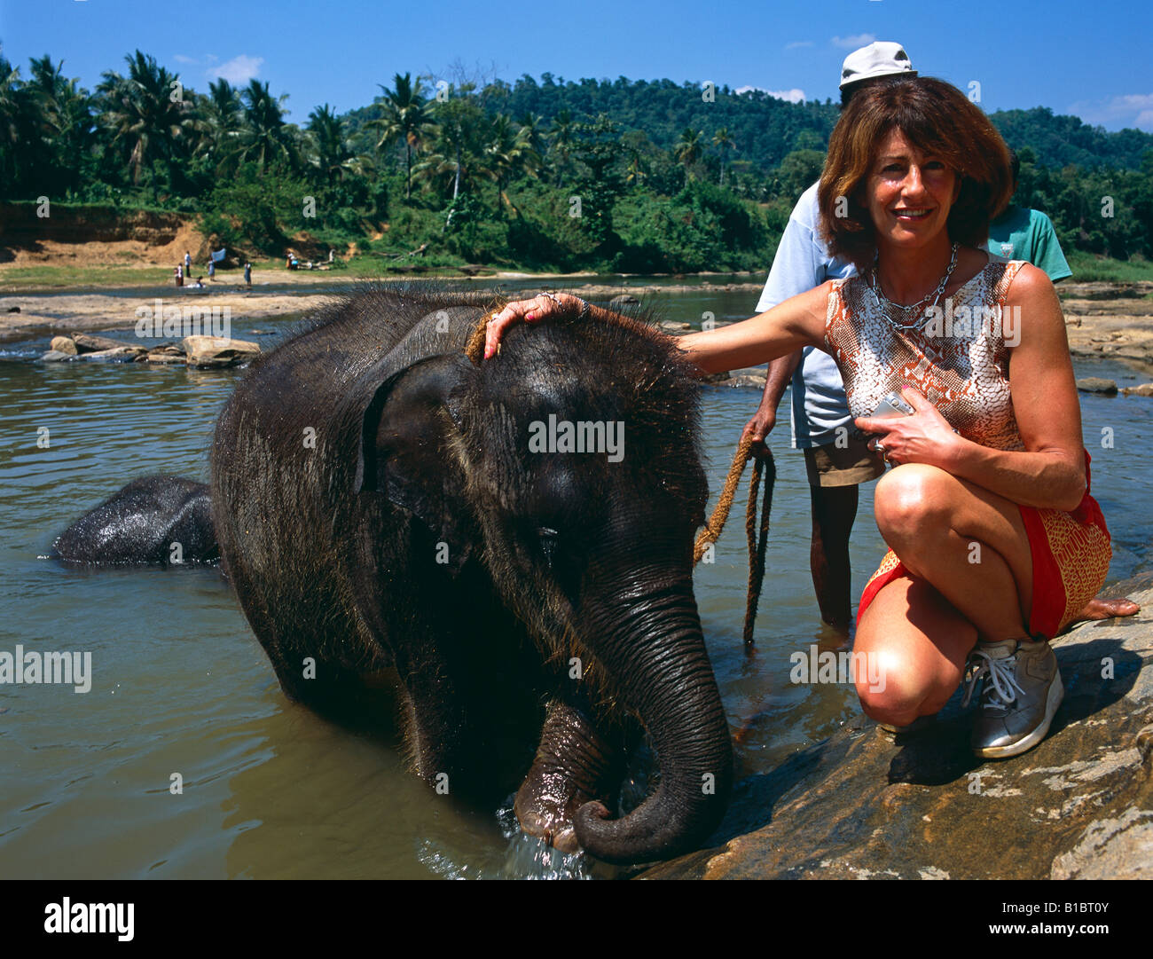 Baby-Elefant mit Frau Elefant Heiligtum Sri Lanka Asien Stockfoto