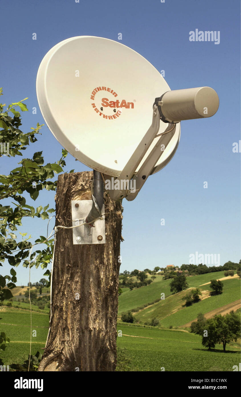 Rundfunk, Fernsehen, TV-Geräte, Satellitenschüssel auf Baumstamm, Additional-Rights - Clearance-Info - Not-Available Stockfoto