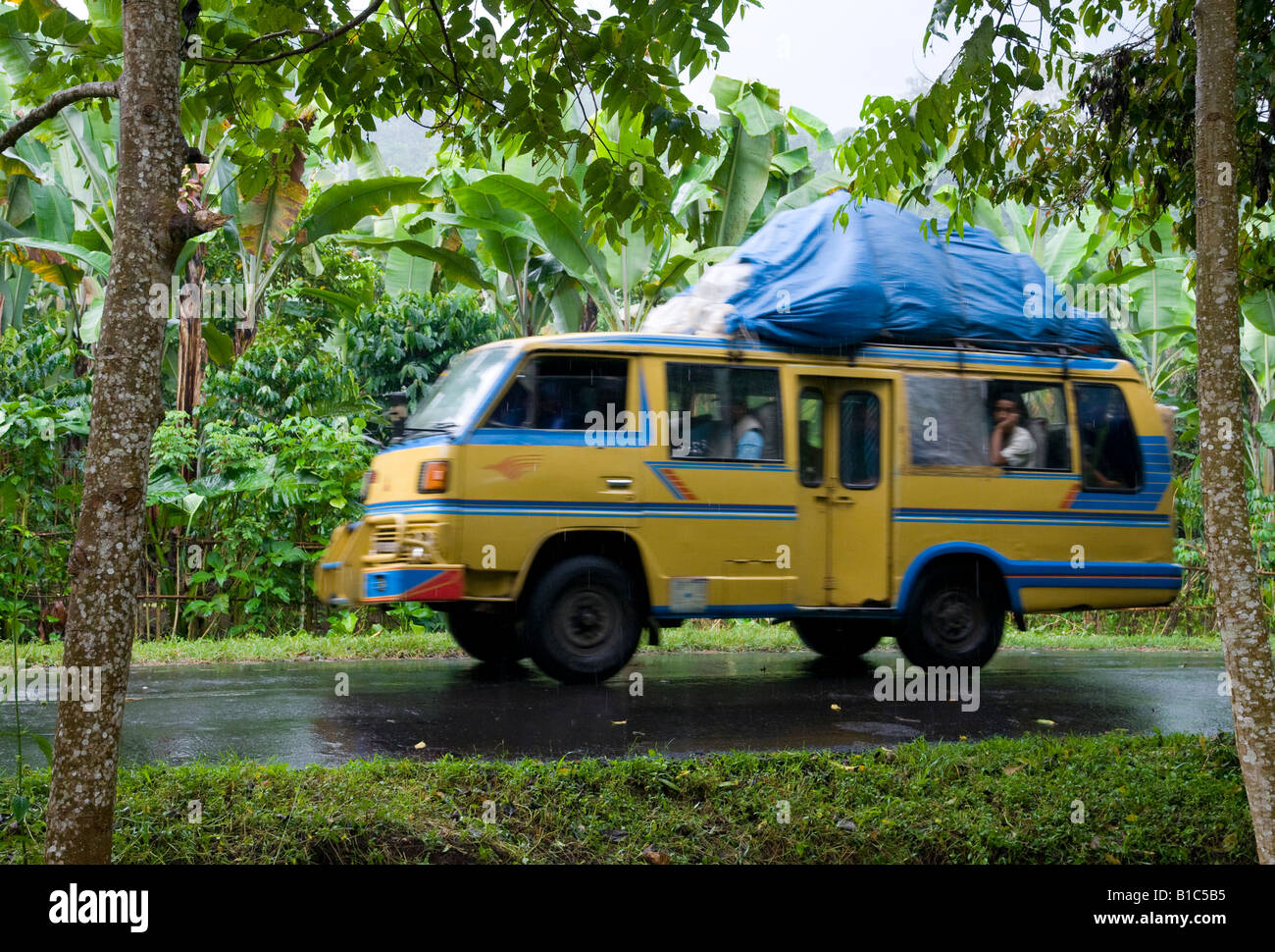 Indonesien Insel Lombok ÖPNV gelbe Bemo Reisen entlang einer Straße in üppigen Wald Stockfoto