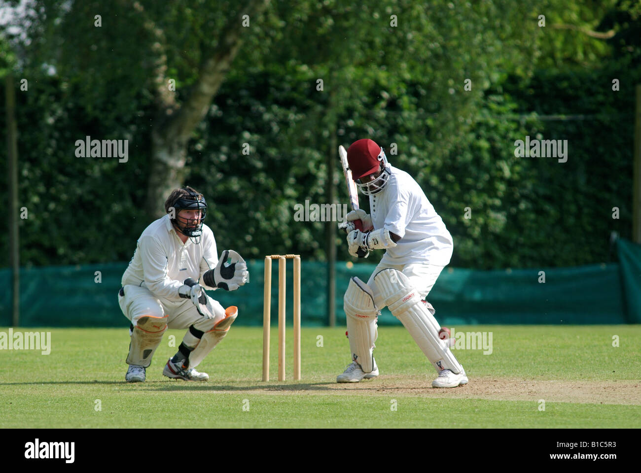 Dorf Cricket bei Exhall, Warwickshire, England, UK Stockfoto