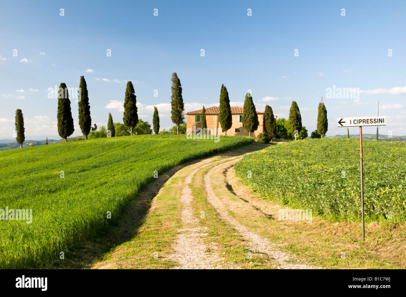 Bauernhaus und Zypresse Bäume, Valle de Orcia, Toskana, Italien Stockfoto