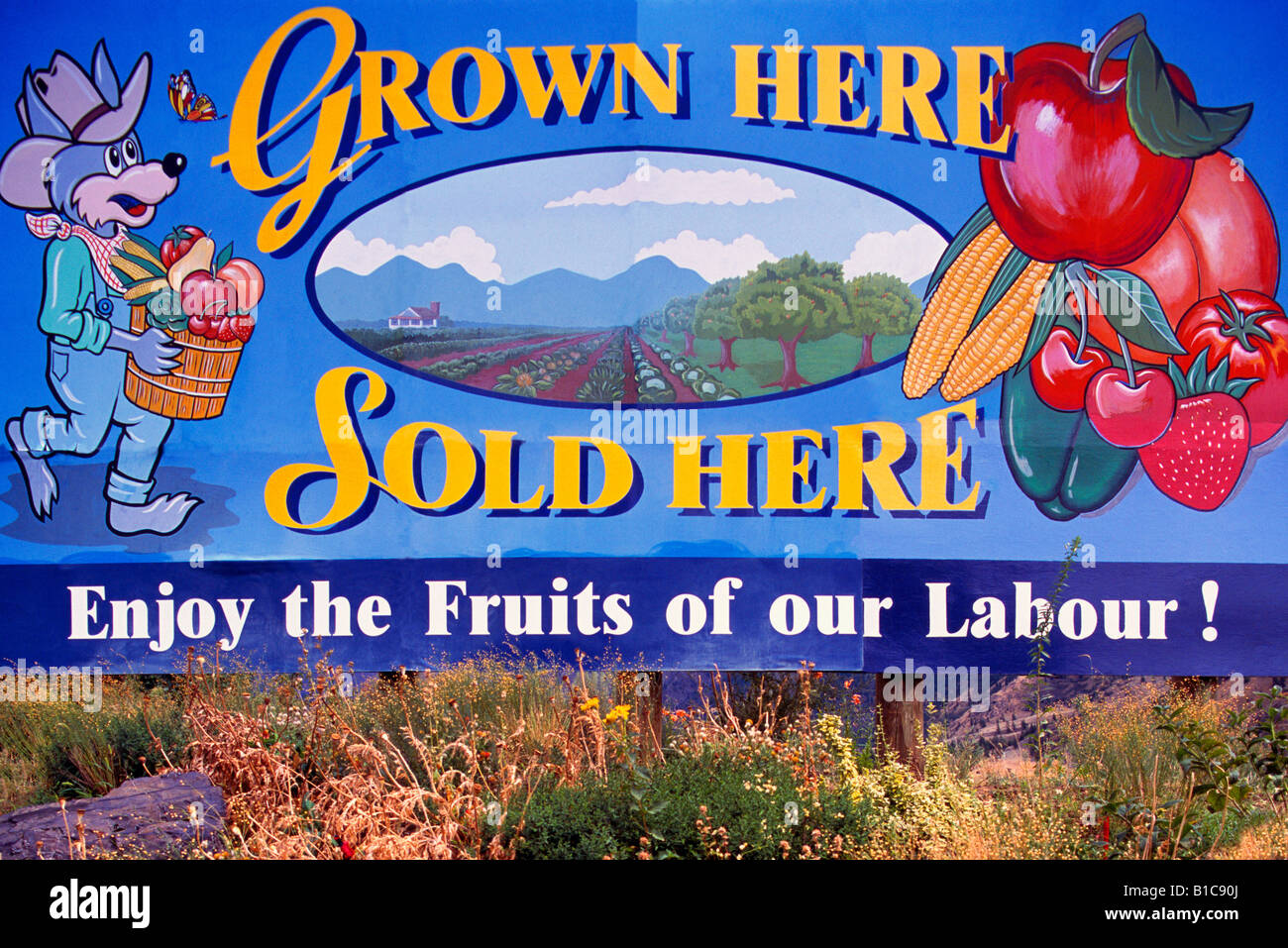 Billboard Zeichen Werbung heimische Früchte für den Verkauf von Bauernmarkt, Okanagan Valley, BC, Britisch-Kolumbien, Kanada Stockfoto