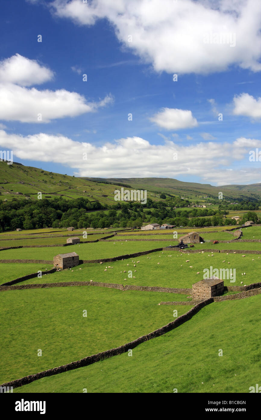 Trockenmauer und Scheunen Gunnerside Swaledale Yorkshire Stockfoto