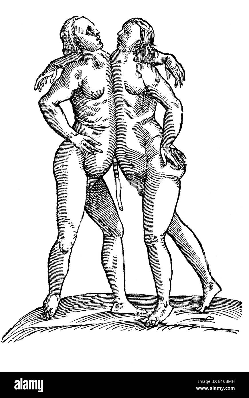 Symbol Gemellarum Parei, Aldrovandi 1642 17. Jahrhundert Renaissance Europa Stockfoto