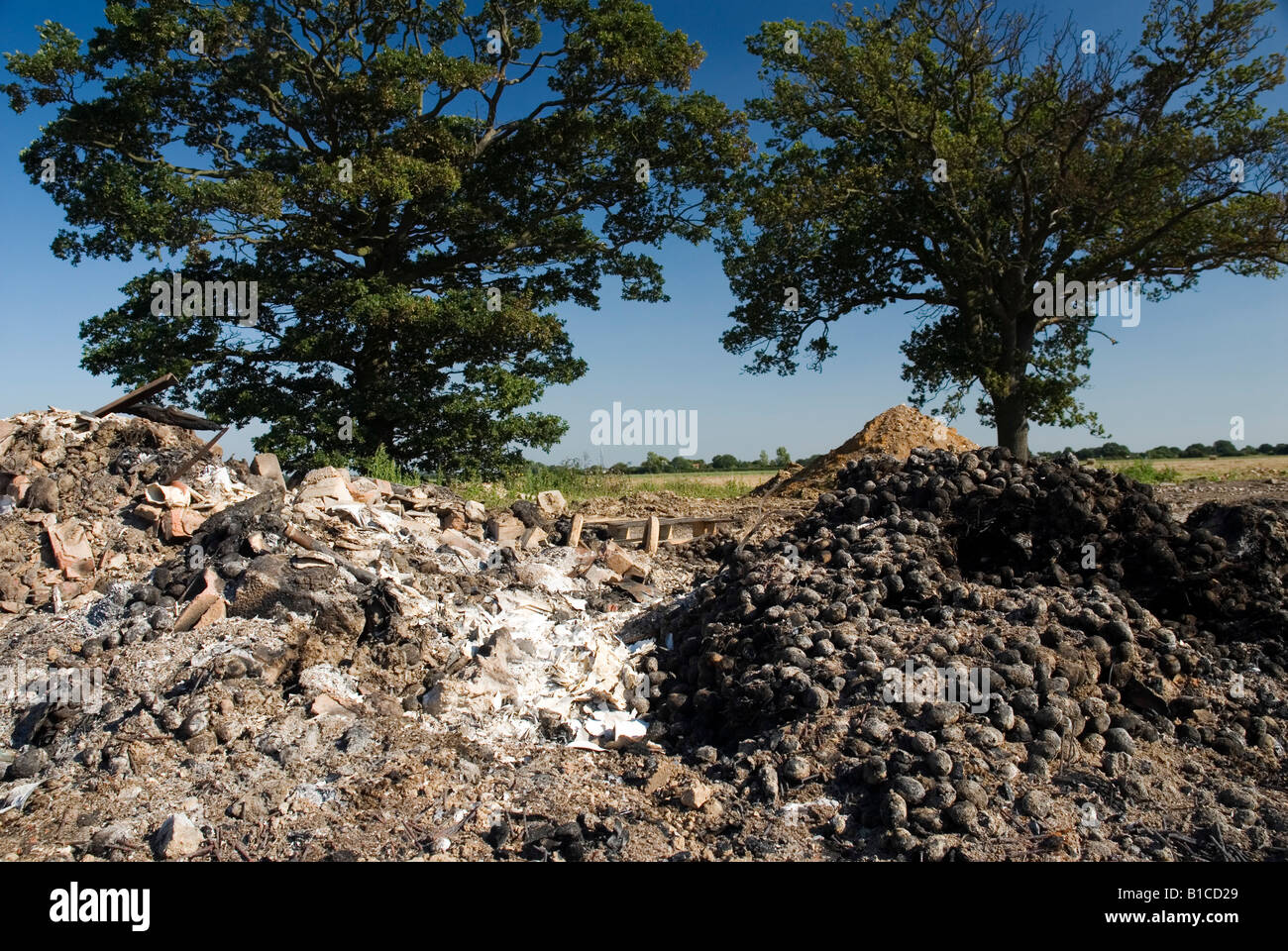 Jede Menge verbrannte produzieren und Müll auf Ackerland. Stockfoto