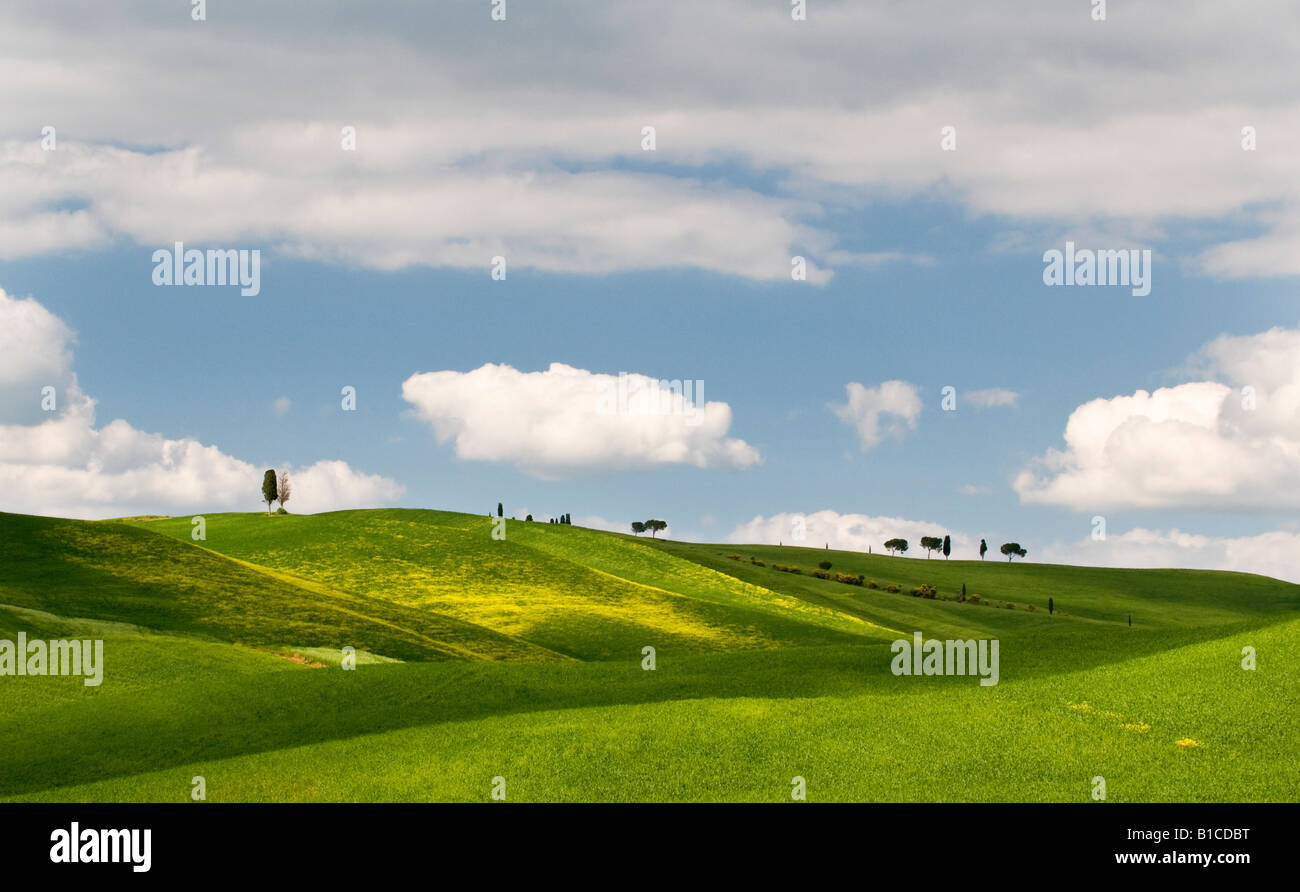 Traditionelle toskanische Landschaft in der Nähe von San Quirico, Valle de Orcia, Toskana, Italien Stockfoto