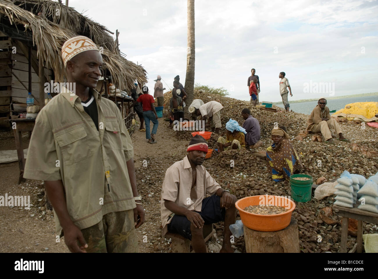 Muslimische Mwani Einwohner ("Leute des Meeres") Verkauf von frisch gefangen Muscheln in der Dhow Hafen Mocímboa da Praia, Mosambik Stockfoto
