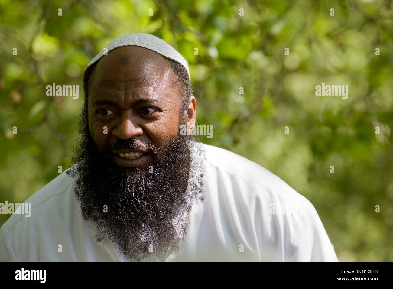 Islamischer Prediger. Speakers Corner, Hyde Park, London, England Stockfoto