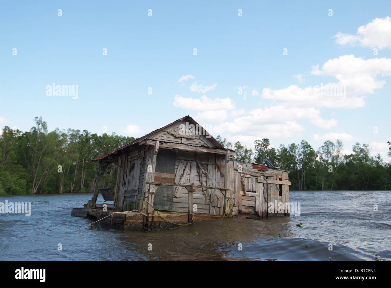 USA Louisiana LA Cajun Country Breaux Bridge Atchafalaya Sumpf in der Nähe von Henderson LA Stockfoto