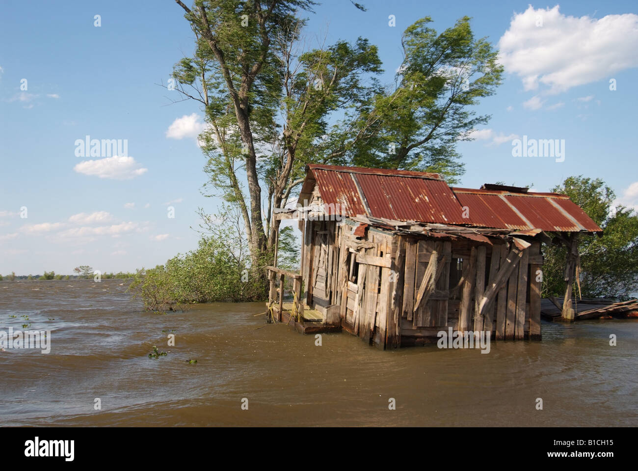 USA Louisiana LA Cajun Country Breaux Bridge Atchafalaya Sumpf in der Nähe von Henderson LA Stockfoto
