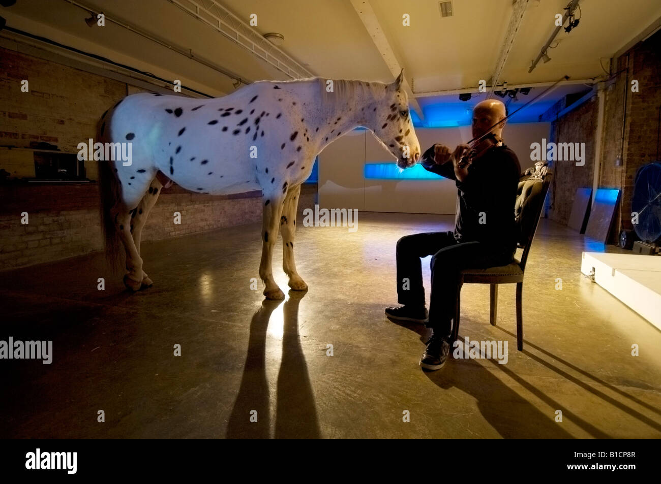 Man Serenaden Pferd mit Geige im Theater als Teil des Brighton Festival Stockfoto