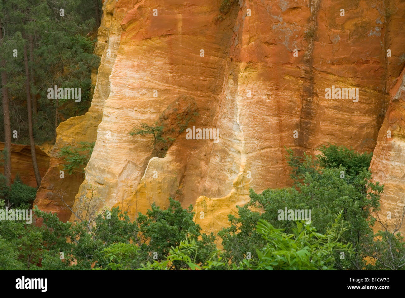 Ockerfarbene Klippen von Roussillon in den Luberon Gegend Frankreichs. Stockfoto