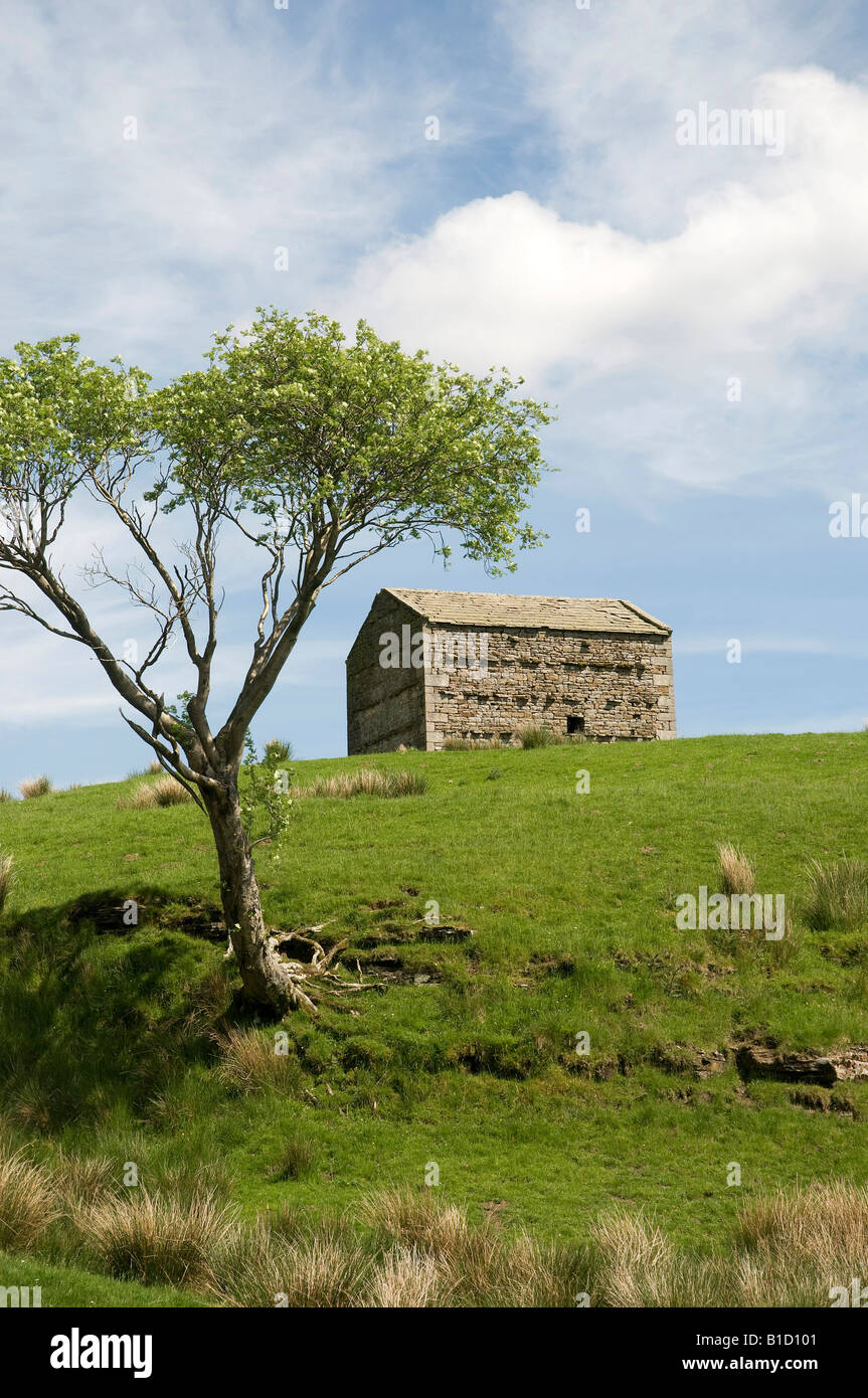 Stein, Scheune, nr Keld, Birkdale, Yorkshire Dales, Nordengland Stockfoto