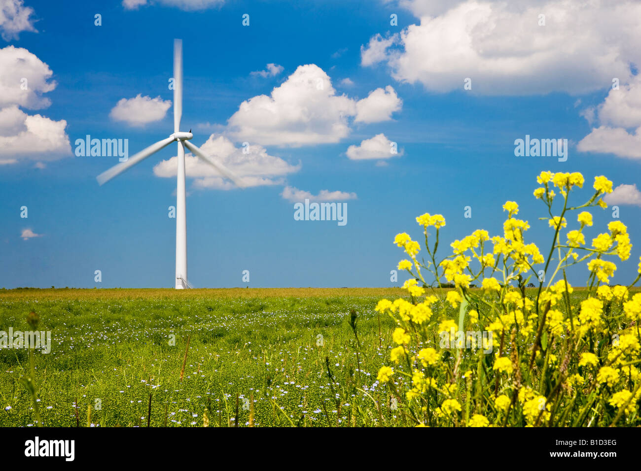 Einzelne Windturbine mit Schaufeln drehen gegen einen tiefblauen Sommerhimmel mit gelber Ackersenf in den Vordergrund, Oxfordshire, Vereinigtes Königreich Stockfoto