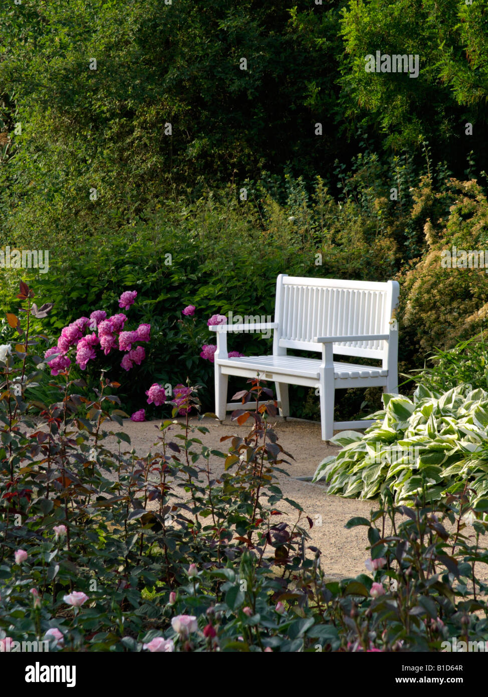 Beständigen Garten mit Sitzbank Stockfoto