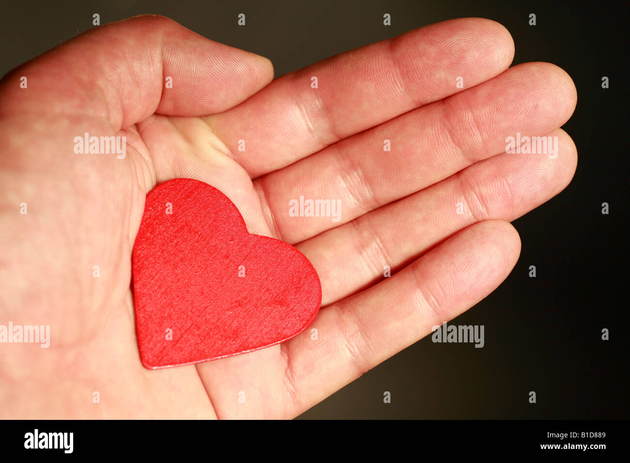 Ein Mann offene Hand bietet ein rotes Herz. Stockfoto