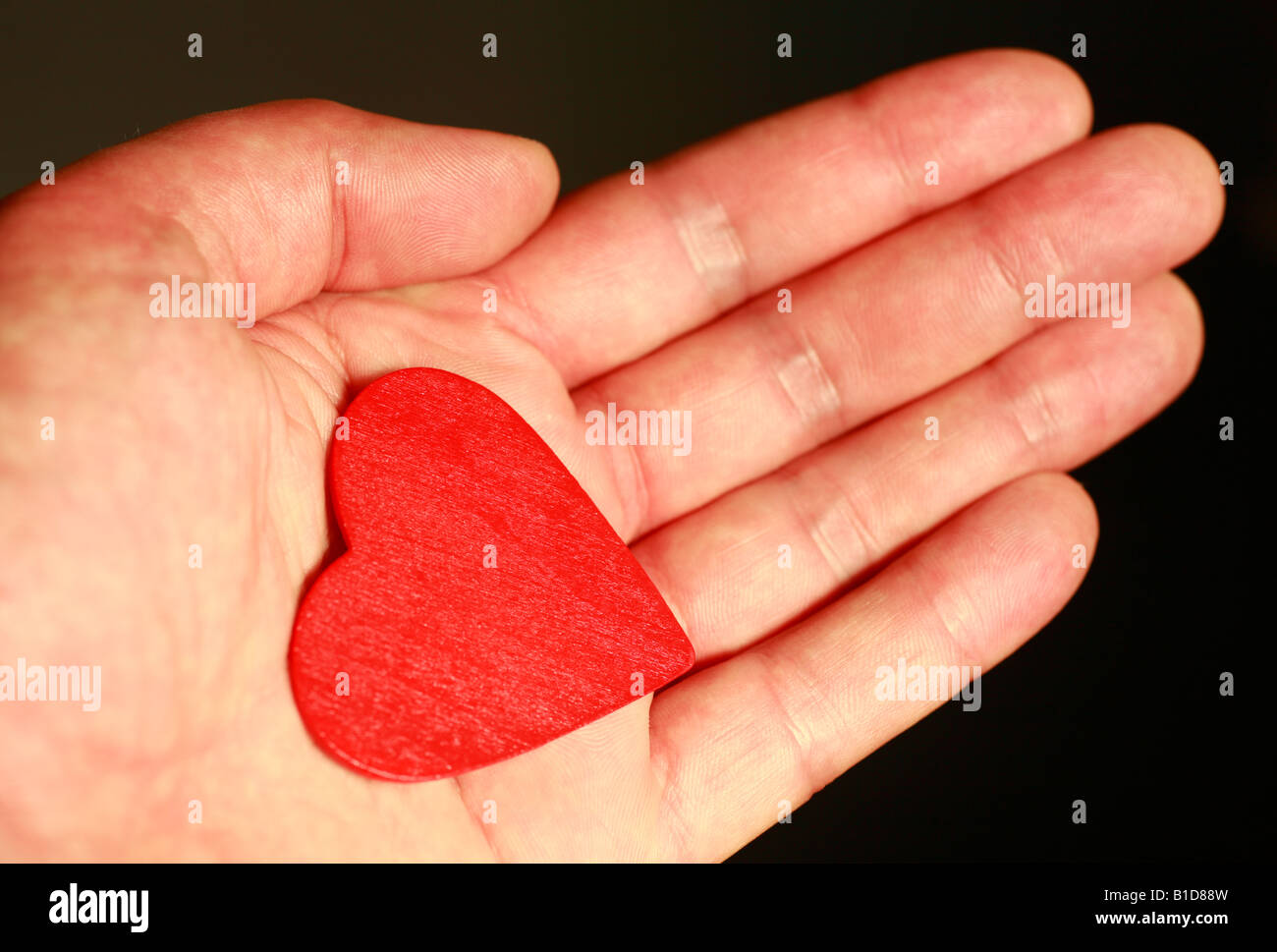 Ein Mann offene Hand bietet ein rotes Herz. Stockfoto