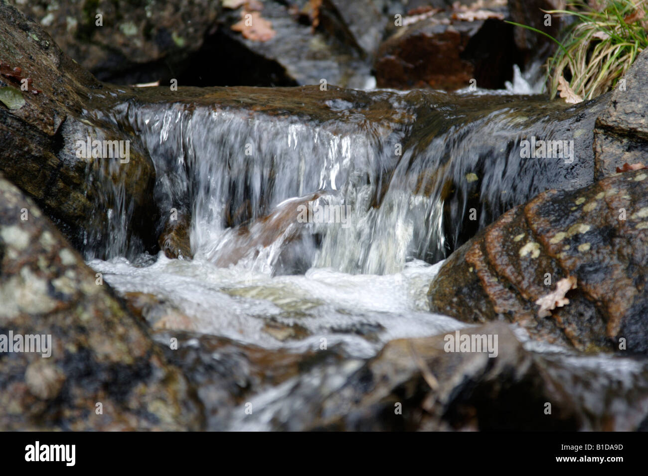 Wasserfall im Herbst Stockfoto