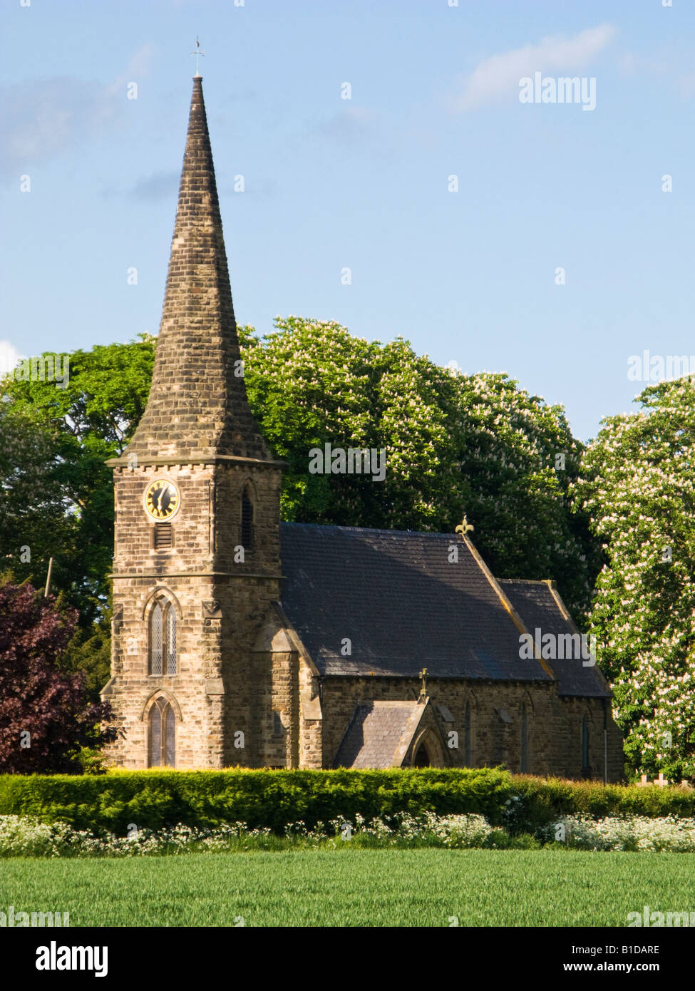 Land der St Marks in Amcotts, North Lincolnshire, England, UK Stockfoto