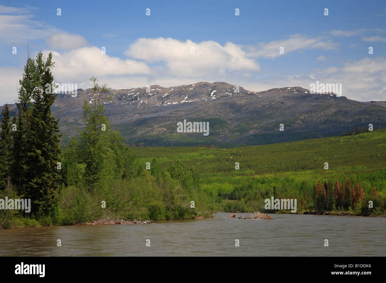 Morice Fluss und Morice Berg von Owen Wohnungen Recreation Site Houston BC Stockfoto