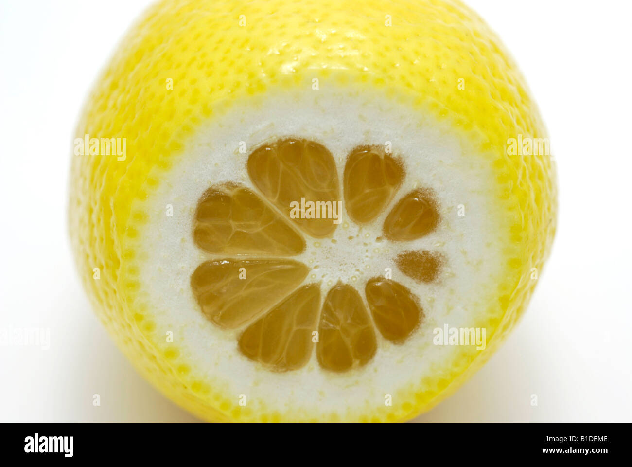 In Scheiben geschnittene Zitrone Stockfoto
