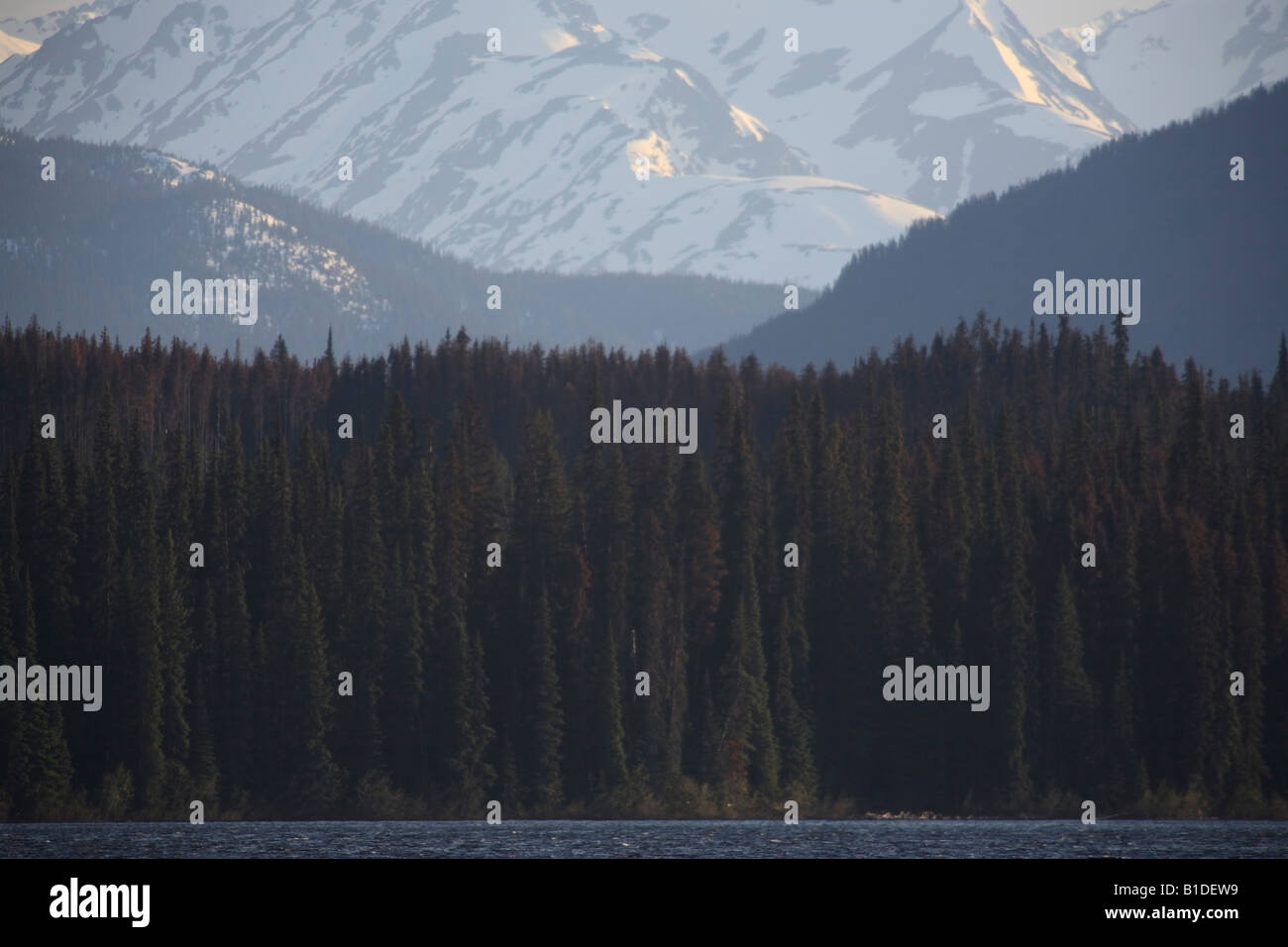 Bergrücken südlich von McBride See in der Nähe von Morice Lake BC Stockfoto