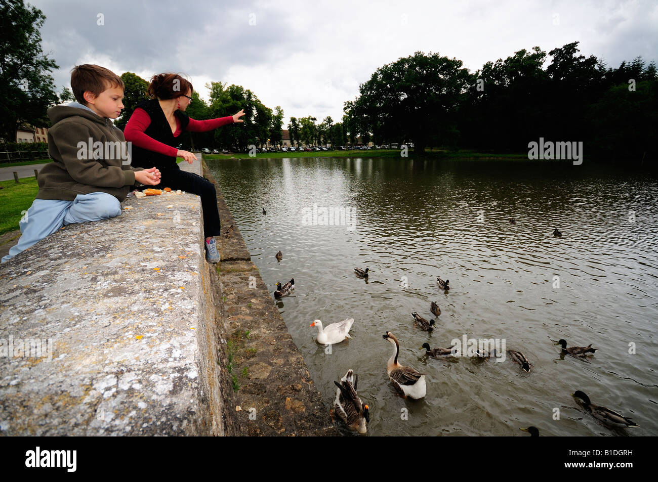 Rambouillet-Park-Mutter und Sohn füttern Enten Vögel Stockfoto