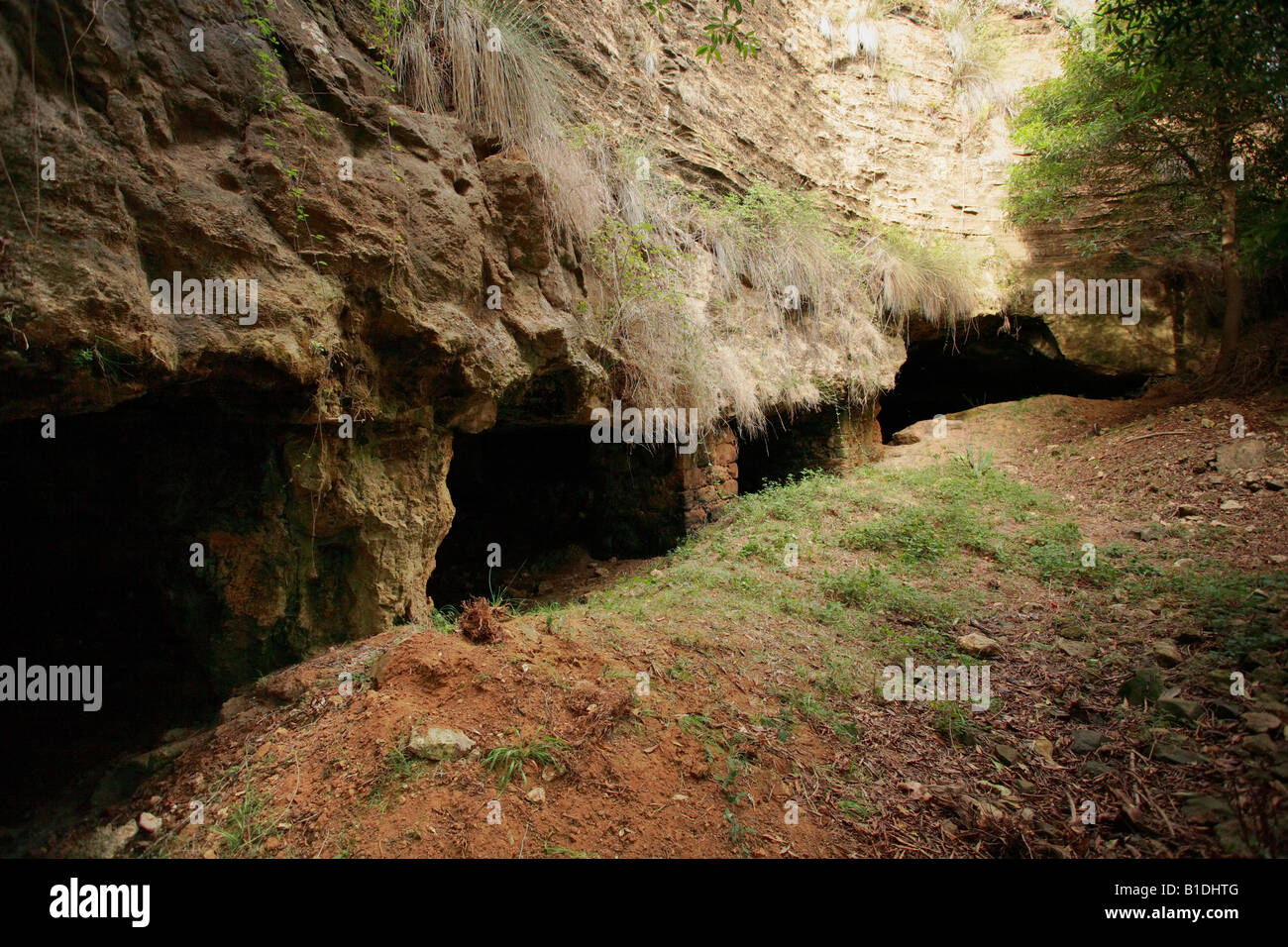 Grutas da Cal sind künstlichen Höhlen in Santa Maria Insel verursacht durch die Gewinnung von kalkhaltigen Felsen Azoren Inseln Portugal Stockfoto