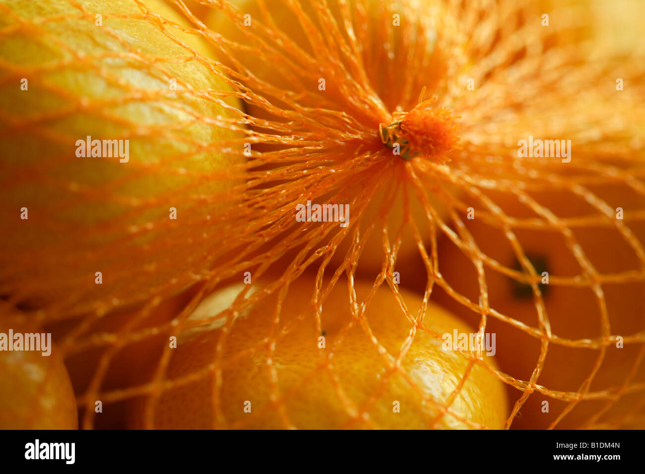 Satsuma-Orangen im Netzbeutel Stockfoto