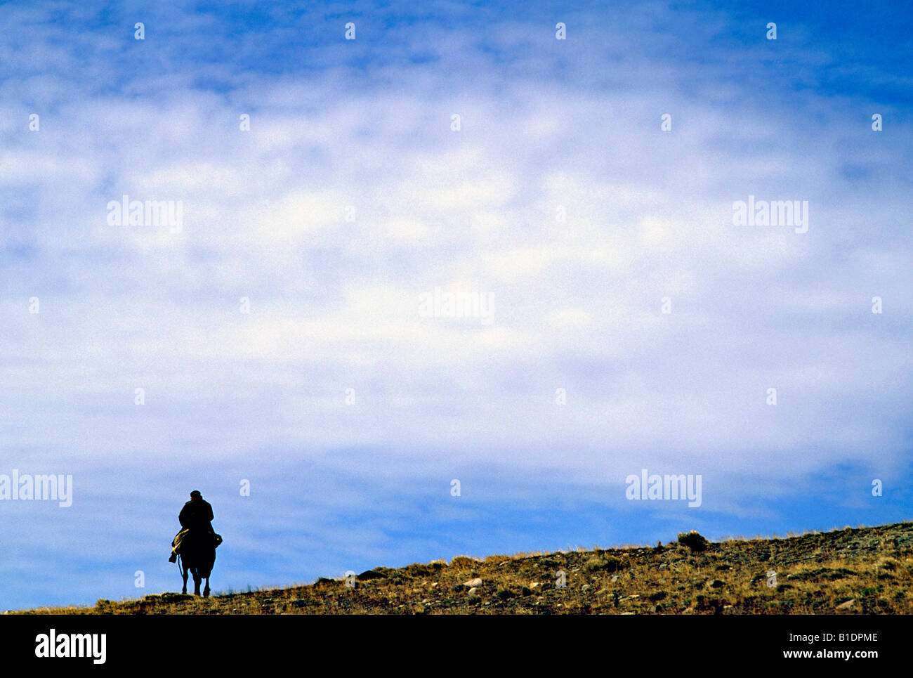 Ein Mann auf dem Pferd reitet auf der Pampa im argentinischen Patagonien Stockfoto
