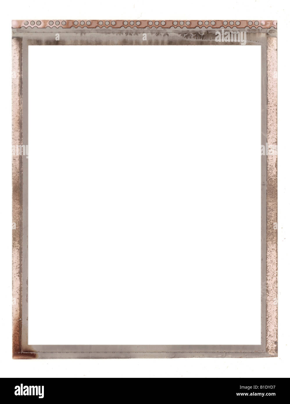 Polaroid negativen Typ 55 Rahmen vor weißem Hintergrund. Stockfoto
