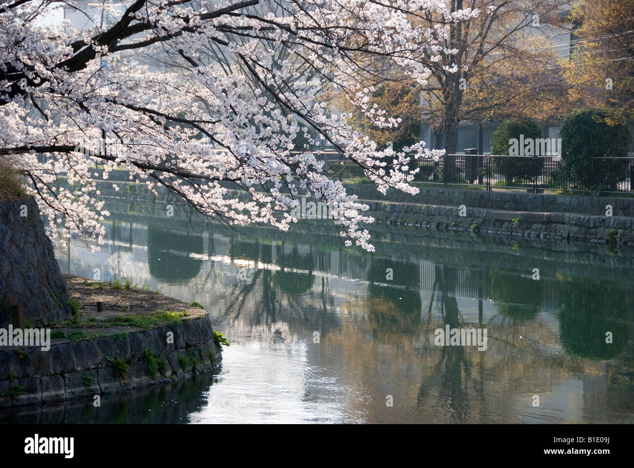 Frühling in Kyoto, Japan. Der Kanal in der Nähe von Okazaki Park in Cherry Blossom Saison Stockfoto