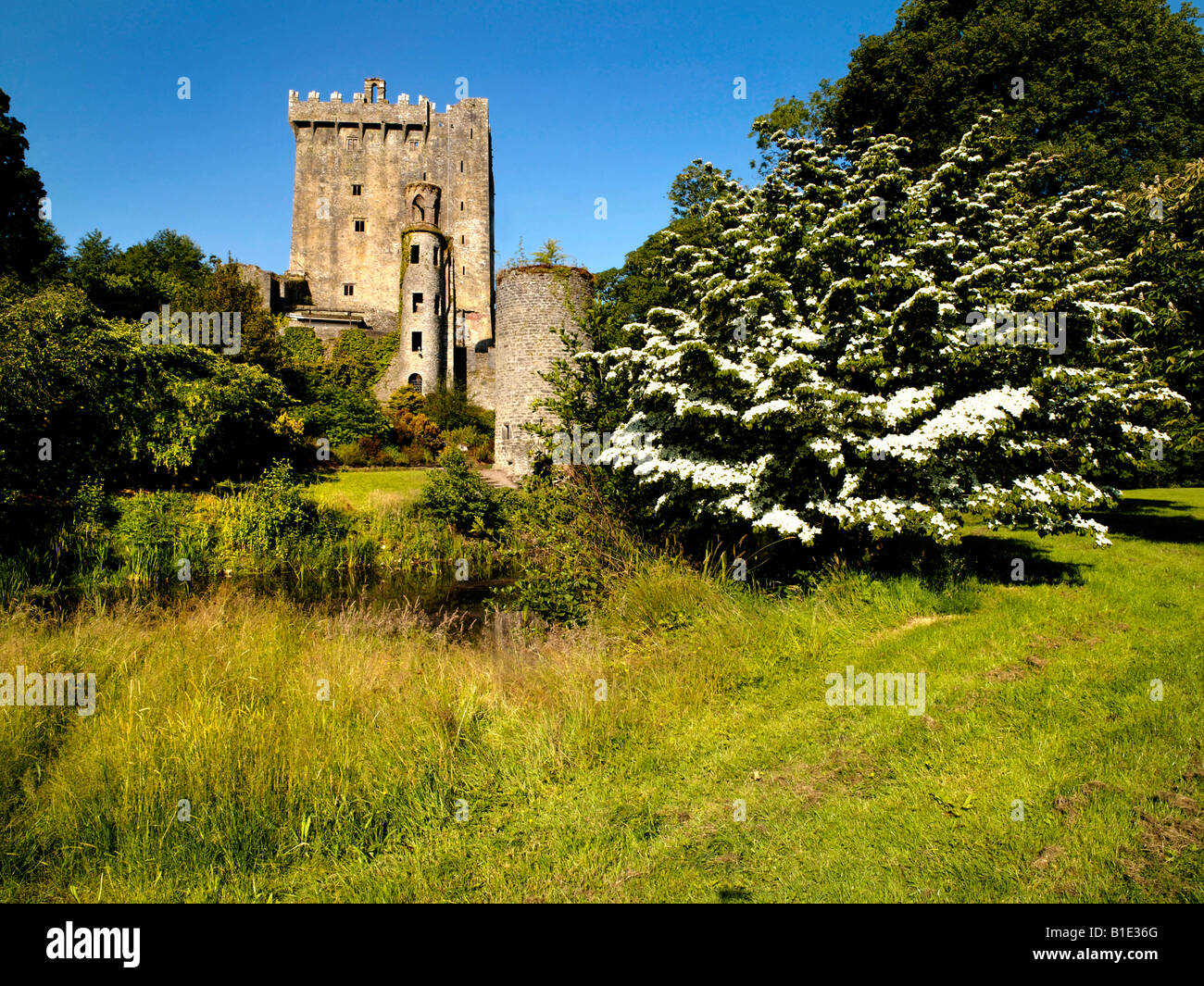 Blarney Stone Blarney Castle Cork Irland Stockfoto
