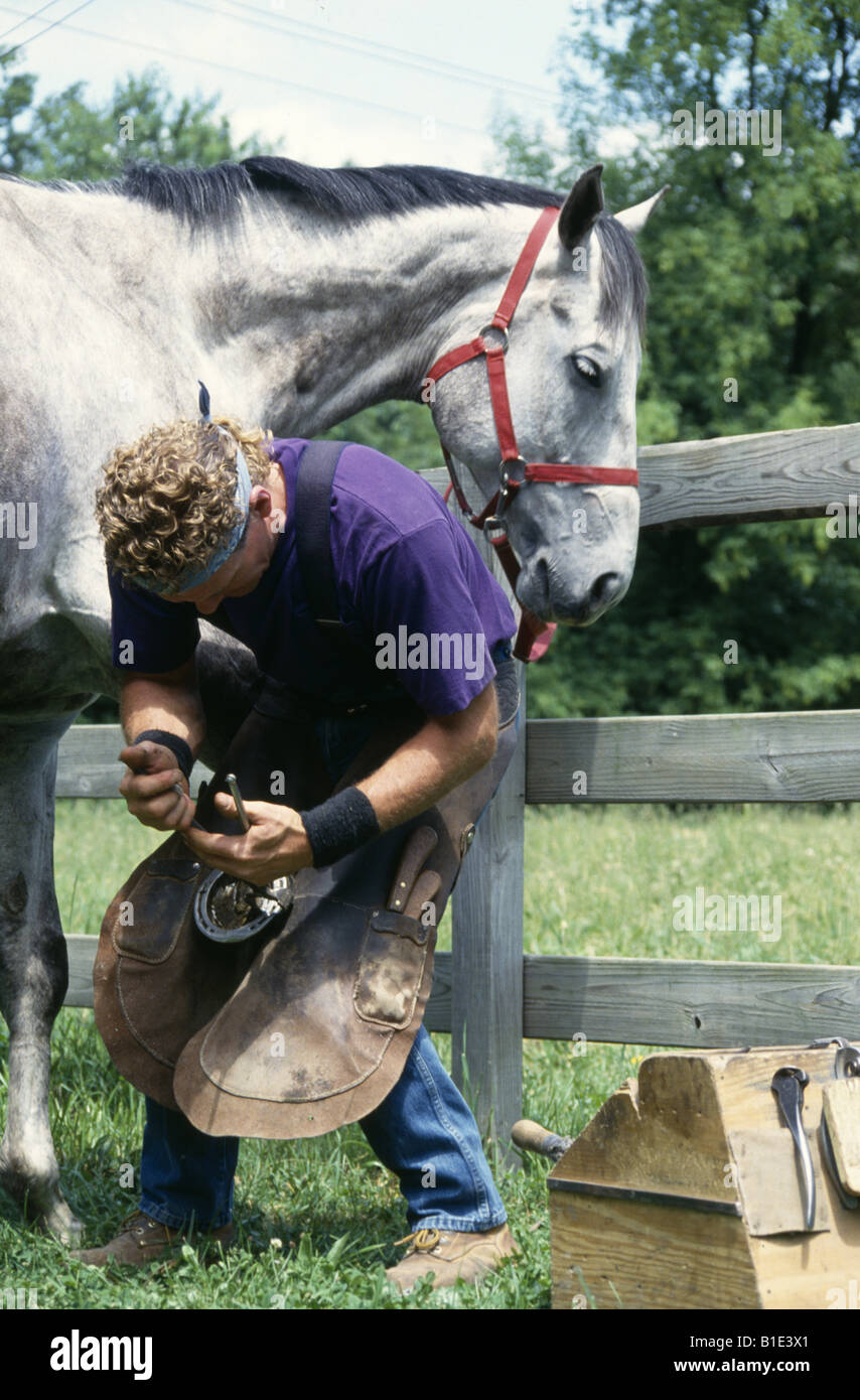 HUFSCHMIED HUFBESCHLAG PFERD ILLINOIS Stockfoto