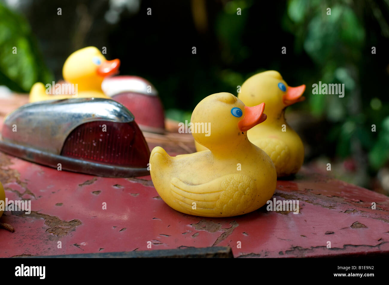 Eine antike Sammlung von Gummienten auf ein altes rotes Boot, USA Stockfoto