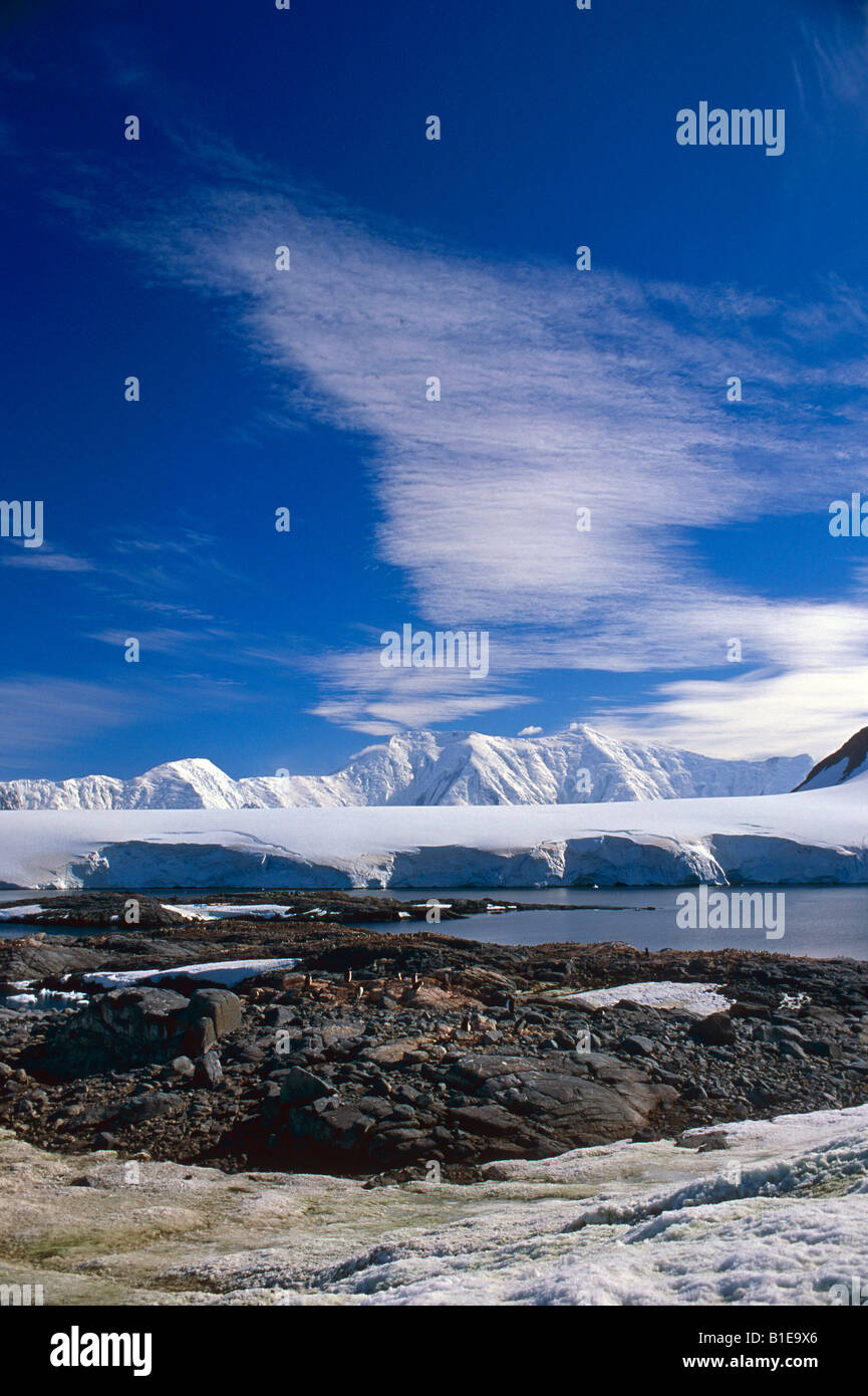 Gentoo-Pinguin-Kolonie auf den Felsen entlang Fluss w/Schnee bedeckt Berge & Gletscher der Antarktis Sommer Stockfoto