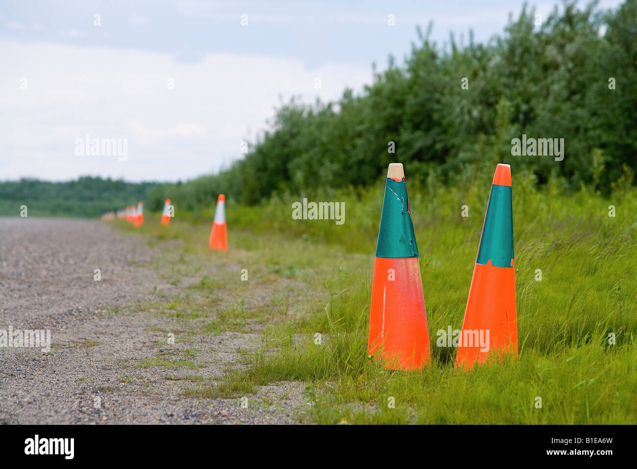 Leitkegel Sicherheit entlang Schmutz Piste Alaska Summer USA Stockfoto