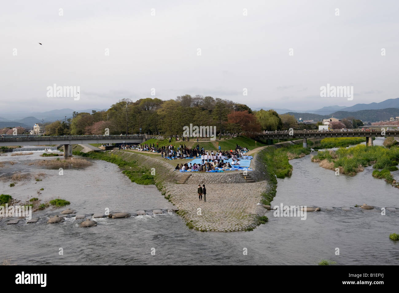 Kyoto, Japan. Der Kamo Fluß verbindet den Takano River bei Demachiyanagi, ein beliebter Ausflugsort Stockfoto