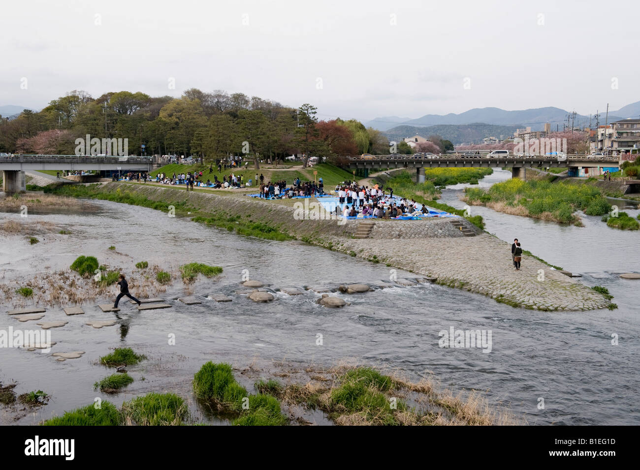 Kyoto, Japan. Der Kamo Fluß verbindet den Takano River bei Demachiyanagi, ein beliebter Ausflugsort Stockfoto