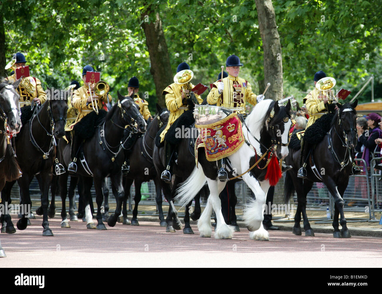 Eines der zwei herrliche Drum Pferde, die die Band montiert in die Trooping führen die Farbe Zeremonie, The Mall, London 2008 Stockfoto